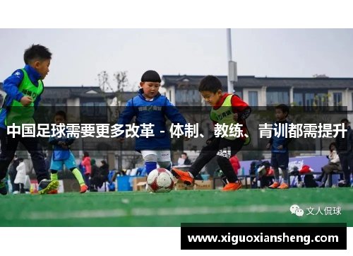 中国足球需要更多改革 - 体制、教练、青训都需提升